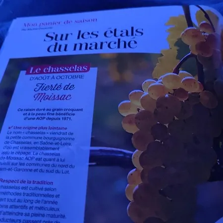 Le Petit Du Desert Apartamento *