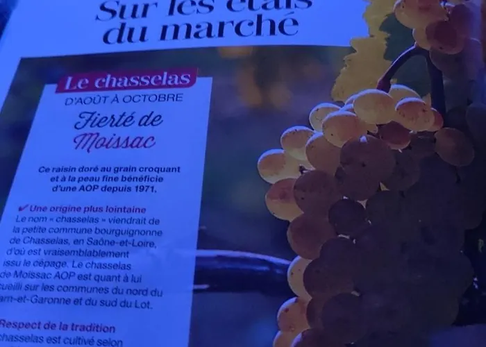 Le Petit Du Desert شقة *