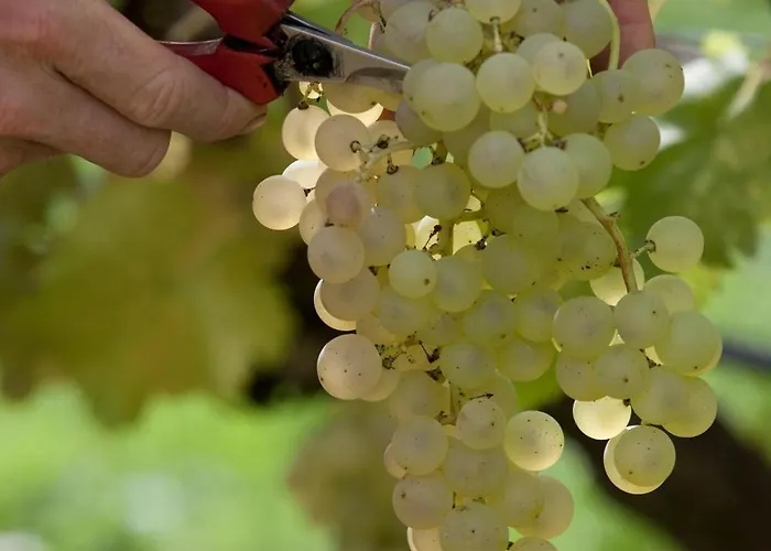 Le Petit Du Desert شقة *